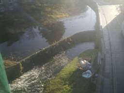 millstreet 12640.jpg